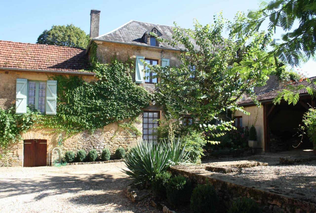 La Vieille Ferme: Superbe Complexe De 3 Gites En Pierre Avec Piscine Au Coeur Du Perigord Noir Saint-Genies Buitenkant foto