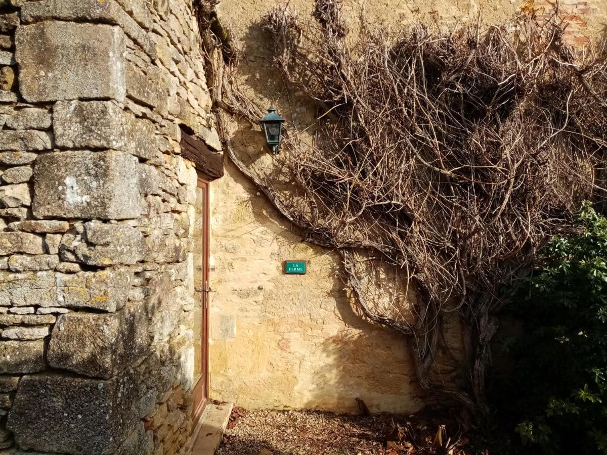 La Vieille Ferme: Superbe Complexe De 3 Gites En Pierre Avec Piscine Au Coeur Du Perigord Noir Saint-Genies Buitenkant foto