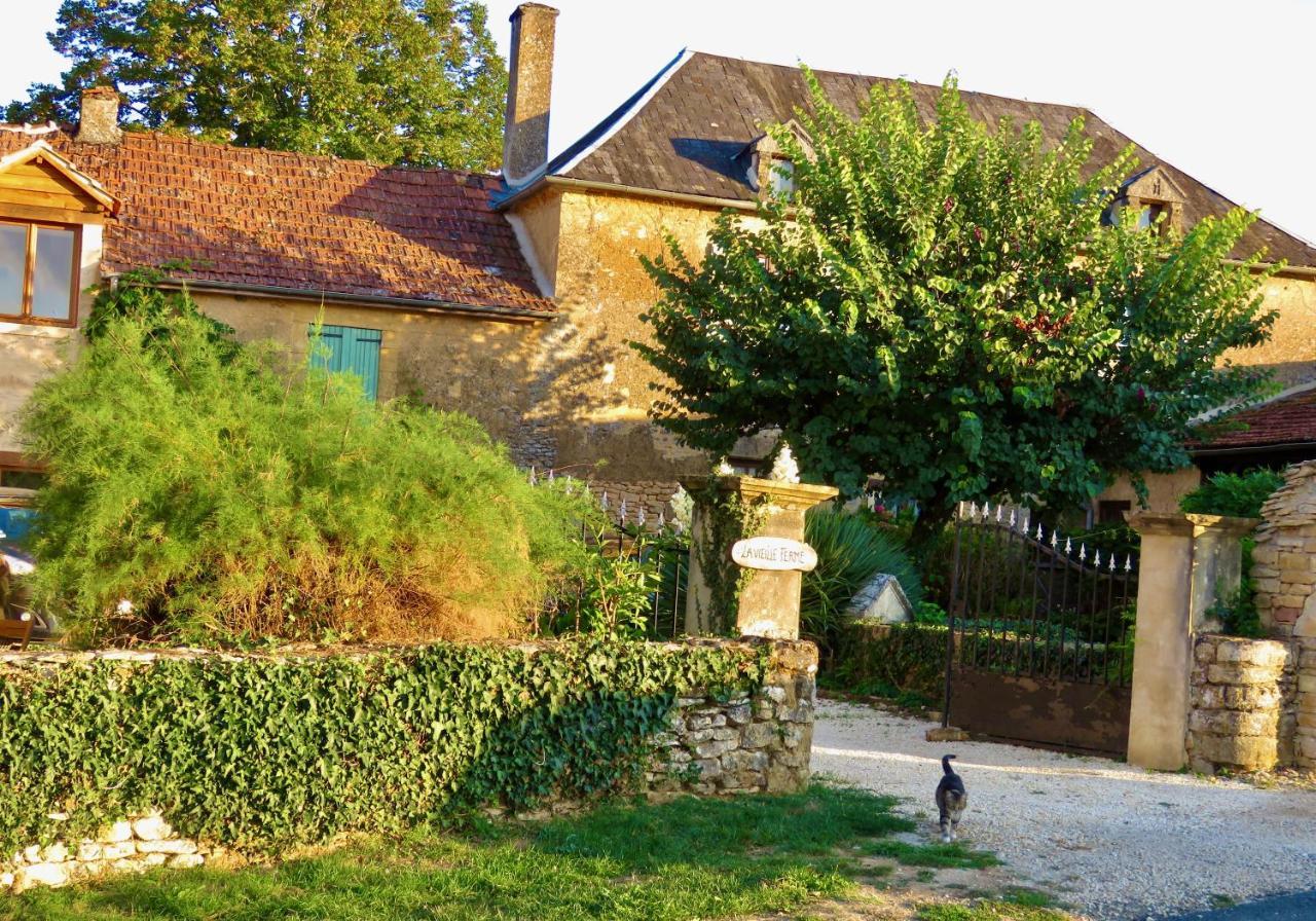 La Vieille Ferme: Superbe Complexe De 3 Gites En Pierre Avec Piscine Au Coeur Du Perigord Noir Saint-Genies Buitenkant foto